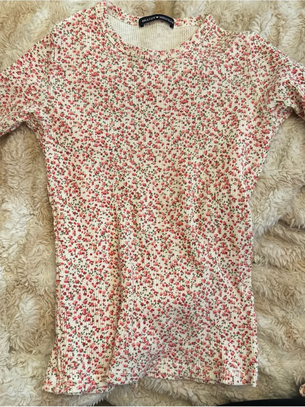 Brandy Melville Cream Floral Ribbed Tee with Pink & Green